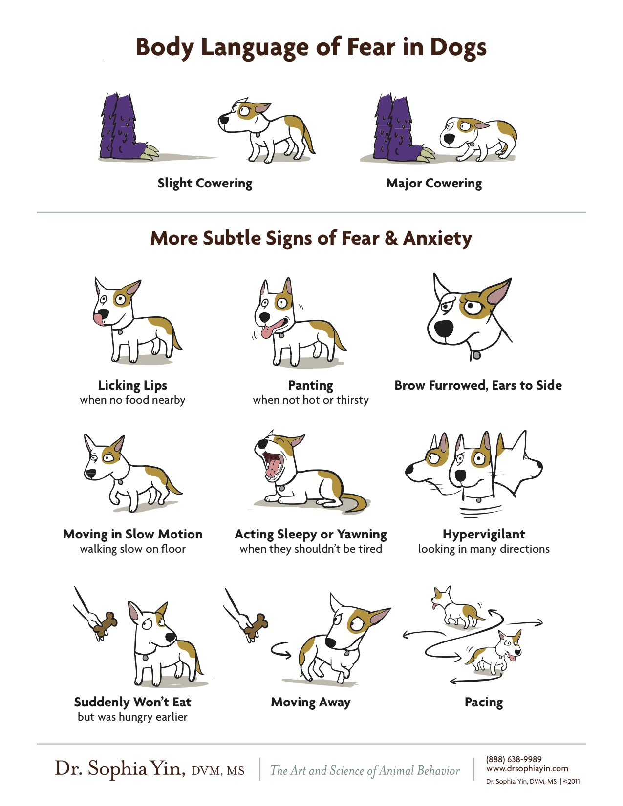 Body_Language_of_Fear_in_Dogs_by_Dr_Sophia_Yin Body_Language_of_Fear_in_Dogs_by_Dr_Sophia_Yin